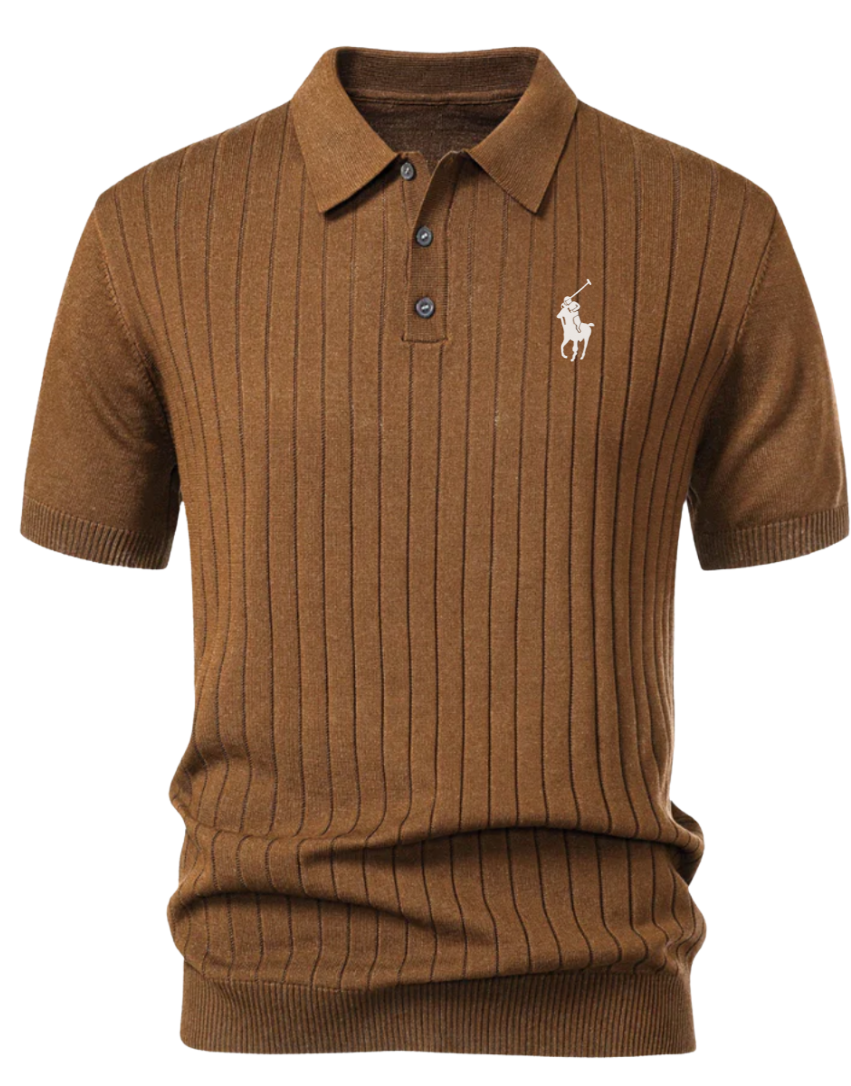 Stripe Knit Polo Shirt